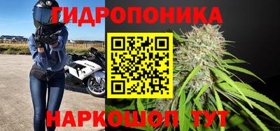 прущие крисы Камень-на-Оби